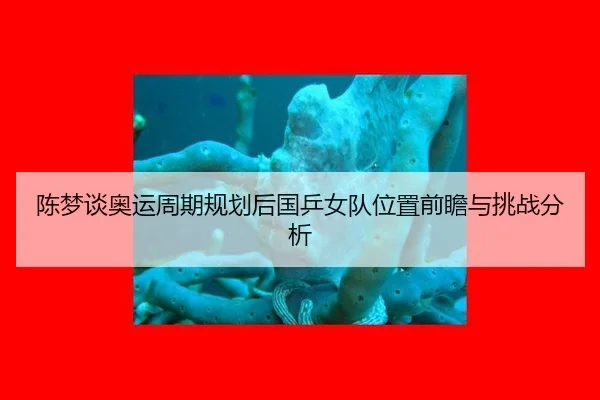 陈梦谈奥运周期规划后国乒女队位置前瞻与挑战分析